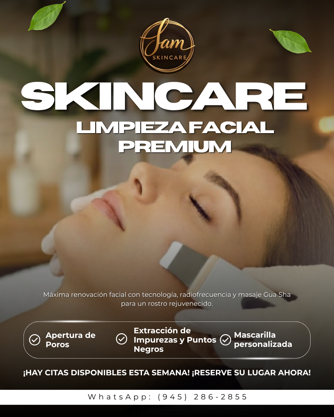 Limpieza Facial Premium